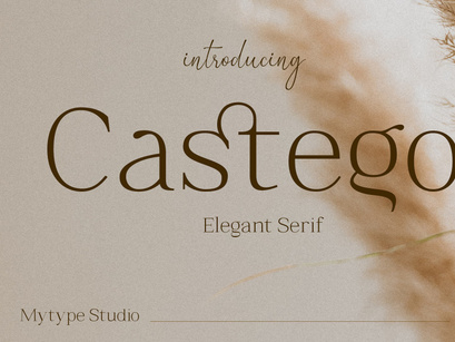 Castego - Elegant Serif