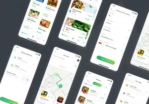 Momo UI Kit