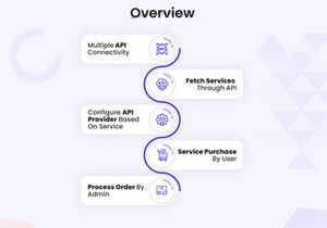 ConnectHive v1.0- Social Media Marketing SMM Platform
