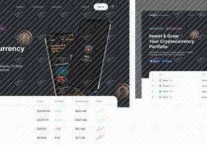 CoinDCX Web Page