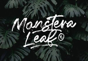 Fentry - Textured Brush Font