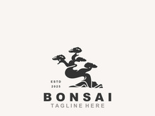 Bonsai Tree Logo Design template. vintage  illustration of aesthetic bonsai plants culture