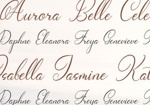 Wenstormy | Calligraphy Script