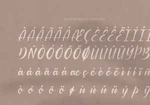 Palfian | Brush Solid Script