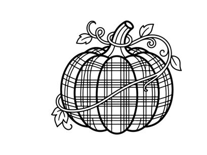 Plaid pumpkin line art illustration. Autumn harvest squash drawing with tartan pattern.