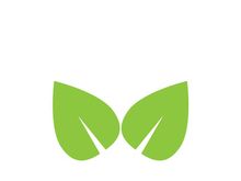 Leaf logo vector icon design template