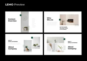 LEMO Minimal Template