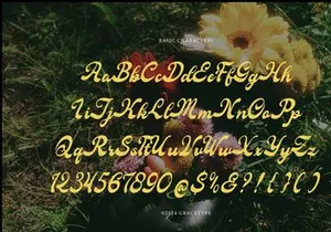 Fioltia Classica | Vilntage Bold Script