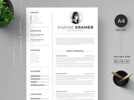CV Resume & Letter cover Template preview picture