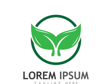 Natural green leaf logo design.