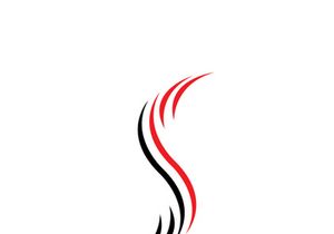 Business corporate S letter logo