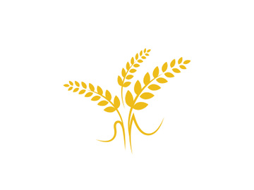 Agriculture wheat rice icon preview picture