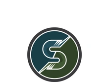 Business corporate S letter logo design vector