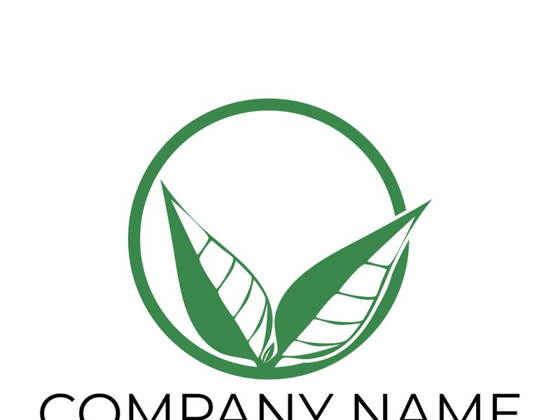 Green leaf logo design vector illustration