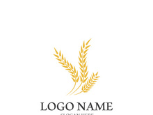 Wheat logo vector icon illustration design