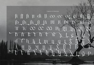 Drogel | Display Serif Font