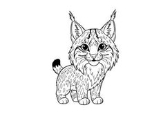Cute lynx kitten sitting flat design vector illustration