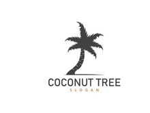 Coconut Tree Logo, Palm Tree Plant Vector