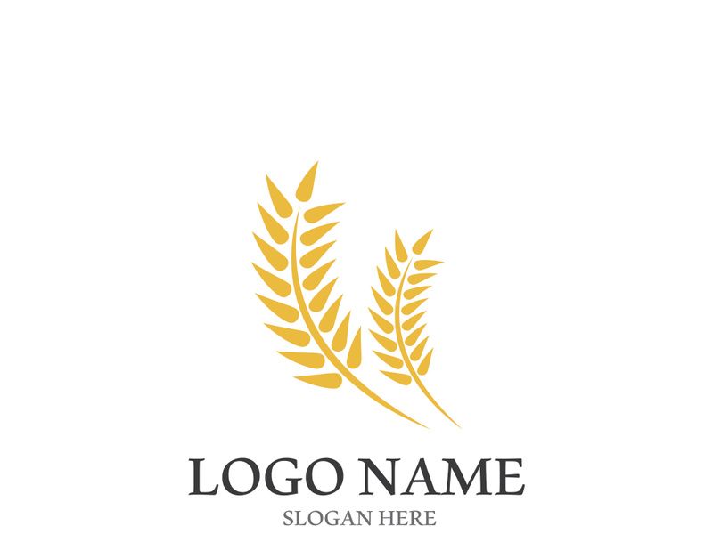 Wheat logo vector icon illustration design