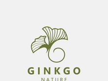 Ginkgo leaf biloba logo nature. Healthy ingredient that is used in medicine for disease treatment with line art style design