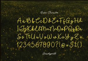 Nicolla Sunfield | Monoline Script