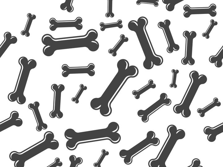 Bone icon design illustration
