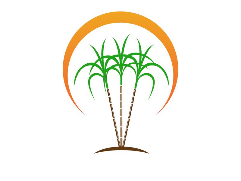 Sugarcane logo vectcr