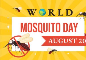 15 World Mosquito Day Illustration