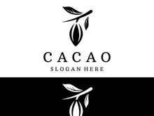 Chocolate cocoa pod plant logotype design, cocoa bean, exotic organic plant isolated background.