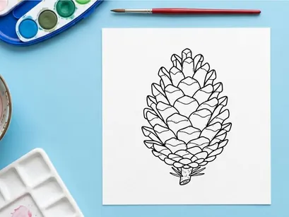 Close-up of a pine cone on a white background. Natural botanical detail for nature and plant themes.
