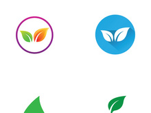 Natural green leaf logo design.