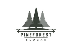 Forest Logo, Vector Forest Wood With Pine Trees Design