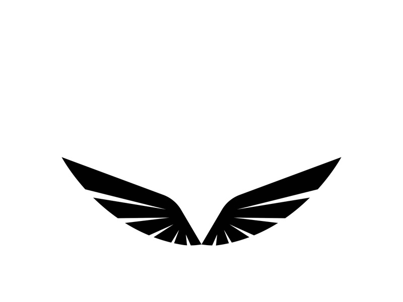 Wing illustration logo and symbol vector