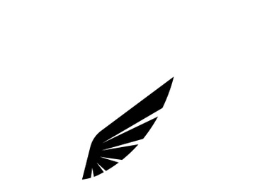 Wing illustration logo and symbol vector preview picture