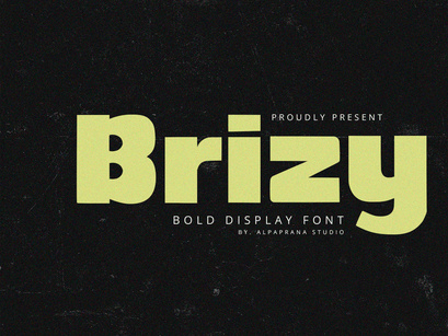 Brizy - Display Sans