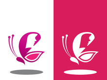 Butterfly logo icon vector design illustration