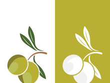Extra virgin olive oil logo icon design vector illustration
