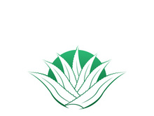 Aloe Vera logo icon design symbol beauty skin care
