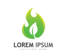 Natural green leaf logo design.