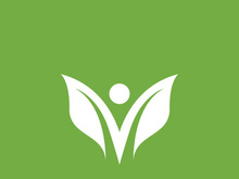Leaf logo green nature vector image