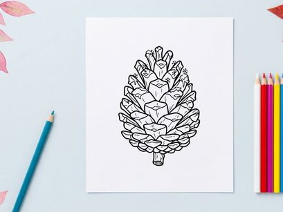 Close-up of a pine cone on a white background. Natural botanical detail for nature and holiday themes.