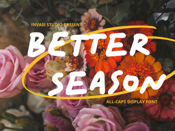 Better Season | Display Font preview picture