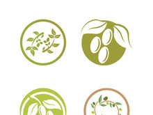 olive icon vector illustration design template