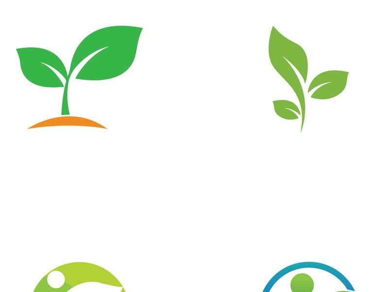 Natural green leaf logo.