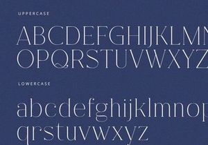 Fracture - Serif Font
