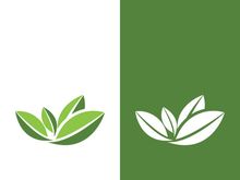 Logos of green tree leaf ecology nature element vector