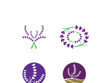Fresh lavender flower logo vector flat design