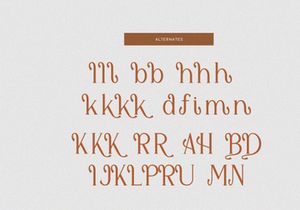 Shialbert | Modern Serif