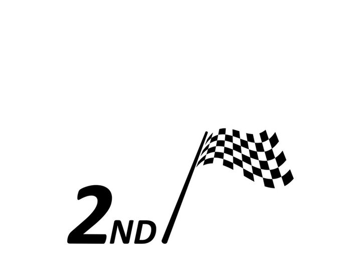 Race flag logo