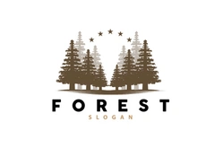 Forest Logo, Vector Forest Wood With Pine Trees Design
